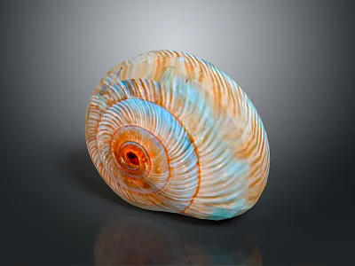 Aquatic Animal Vibrant Orange And Blue Striped Spiral Seashell With Glossy Texture 3d model