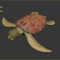 Realistic Sea Turtle With Red Textured Shell And Orange Brown Flippers 3d model