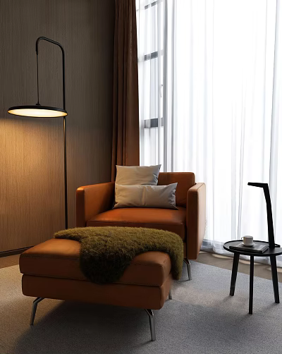 Modern Interior With Brown Accent Chair Pillows Ottoman Fuzzy Blanket Floor Lamp White Curtains 3d model