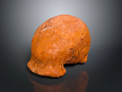 Detailed Orange Animal Skull With Natural Textured Surface On Dark Background 3d model