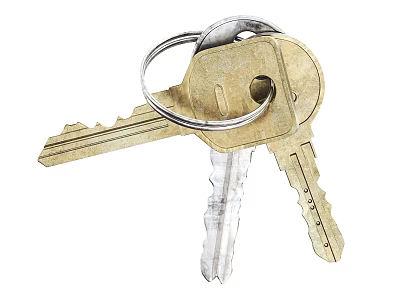 Two Metal Keys With Keychain On White Background 3d model