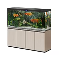 Fish Tank Aquarium Interior With Tropical Fish Green Plants And Wooden Cabinet Stand