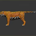 Realistic 3D Leopard Model With Orange Black Spots In Standing Pose On Reflective Ground 3d model