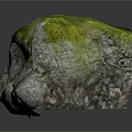 Green Moss Covered Natural Stone Rock with Gray Textured Surface and Reflective Base