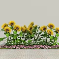 Vibrant yellow sunflowers with green leaves and pink flowers on brick floor against gray wall