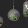 Various Glass Hanging Planters With Colorful Succulent Plants And Pebbles For Indoor Decor