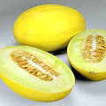 Fresh Yellow Honeydew Melon With Whole And Sliced Halves Juicy Flesh And Seeds