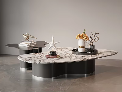 Modern Irregular Shape Coffee Table With Marble Top Black Base And Decorative Starfish Flowers Tray 3d model