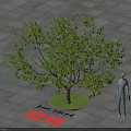 Cherry Tree Arbor with 3.5m Diameter and 8m Height in Outdoor Paved Area