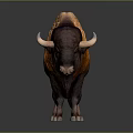 Majestic Brown and Orange Buffalo with Thick Fur and Curved Horns Standing Isolated on Gray Background