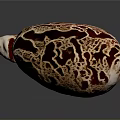 Detailed Organ Structure With Hair Like Texture And Red Brown Surface