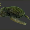Modern Turtle Small Turtle Green Turtle Big Turtle Black Turtle 3d model