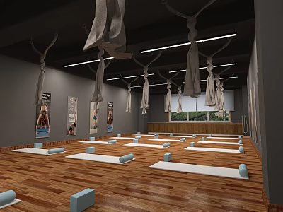 Yoga Fitness Studio With Wooden Floor Mats Blocks Aerial Hammocks And Exercise Posters 3d model