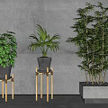 Modern potted plant flowerpot combination 3d model