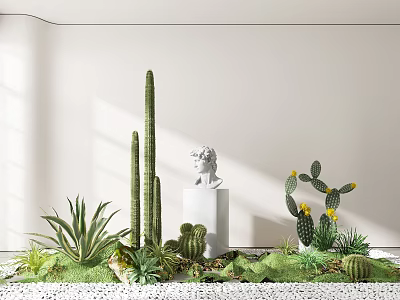 Small Garden Decor With Tall Cactus Aloe Vera White Statue And Green Moss 3d model