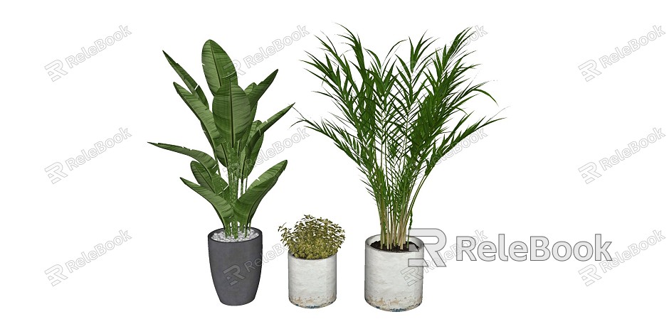 Modern potted plant ornaments model