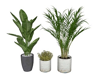 Modern potted plant ornaments 3d model