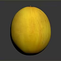 Fresh Ripe Yellow Melon with Smooth Skin on Dark Reflective Surface