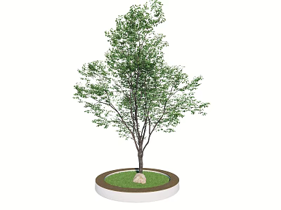 Arbor With Green Leaves In Circular Planter With White Edge Green Grass And Stone 3d model