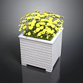 White Square Planter Box With Striped Design And Yellow Flowers