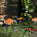 Vibrant Aquarium Fish Tank With Colorful Koi Fish Green Aquatic Plants And Decorations