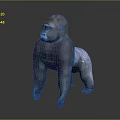 Realistic 3D Gorilla Model in Natural Standing Pose on Dark Background 3d model