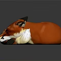 Cozy Red Fox Curled Up Sleeping With Red And White Fur On Dark Background