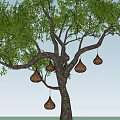 Tree With Hanging Woven Bird Nests And Green Leaves Against Blue Sky