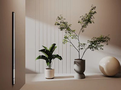 Indoor Bonsai And Leafy Potted Plants In White Gray Pots With Round Decorative Ball 3d model