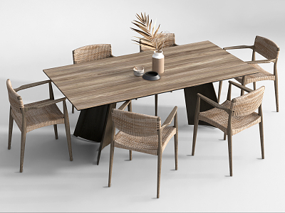 Nordic Dining Table and Chair Combination Rattan Dining Table and Chair Combination Green Plant Ornaments model