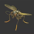 3D Rendered Fly Close Up Featuring Large Compound Eyes Transparent Wings And Orange Legs