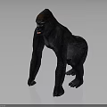 Detailed 3D Gorilla Model in Standing Posture Against Gray Background