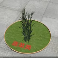 Vibrant Vegetable Plants Thriving in Circular Green Patch on Paved Ground