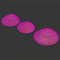 Multicolored Shell Shaped Decorative Ornament Set For Home Decor With Glossy Patterned Surface