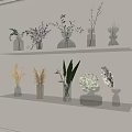 Decorative White Wall Shelves With Glass Ceramic Vases Green Plants And Dried Flowers