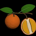 Fresh Whole Orange Fruit Cut Open Showing Yellow Flesh and Green Leaves on Branch