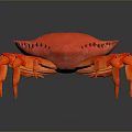 Vibrant Red Crab With Textured Shell And Orange Legs On Dark Surface 3d model