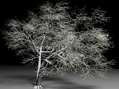 Shrub With Thin Branches Small Green Buds And Roots On Black Background 3d model