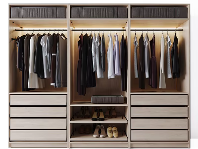 Modern Organized Closet Design With Hanging Clothes Drawers And Shoe Storage Lighting 3d model