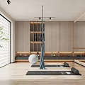 Modern Yoga Studio Interior With Aerial Hammock Yoga Ball Mats Mirrors and Plants