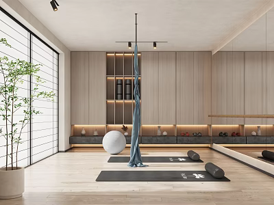 Modern Yoga Studio Interior With Aerial Hammock Yoga Ball Mats Mirrors and Plants 3d model