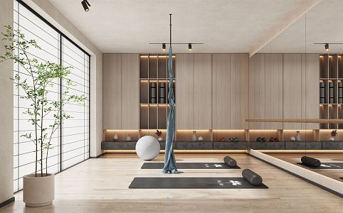 Modern Yoga Room 3d model