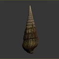 Natural Brown Textured Conical Shell Decorative Ornament For Home Decor Accent