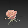 Pink and orange gradient rose with green stem and leaves on light blue background