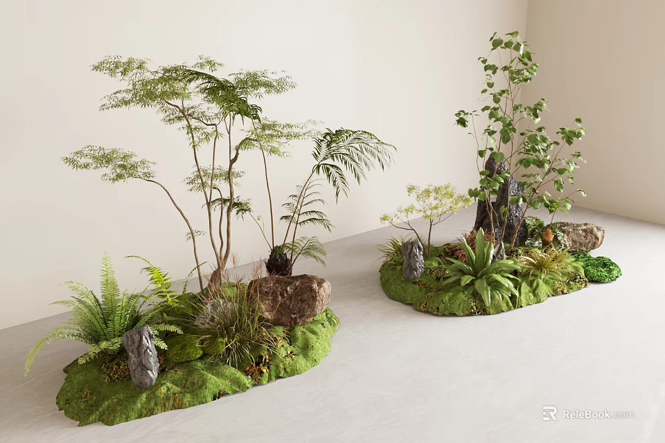 Decorative Plant Combinations With Ferns Small Trees Rocks And Moss Covered Ground 3d model 