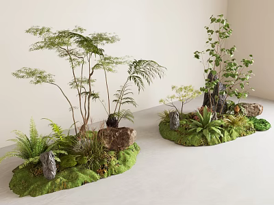 Decorative Plant Combinations With Ferns Small Trees Rocks And Moss Covered Ground 3d model