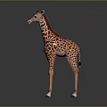 3D Model Toy Giraffe With Brown Spots And Red Mane On Black Reflective Surface 3d model