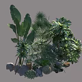 Diverse Garden Shrubs With Different Leaf Shapes And Decorative Stones