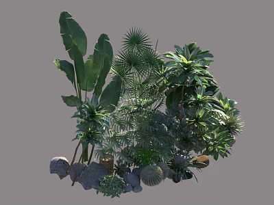 Diverse Garden Shrubs With Different Leaf Shapes And Decorative Stones 3d model
