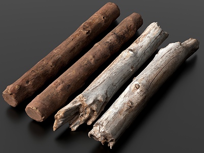 modern wood dead wood pole wood stick rotten wood 3d model